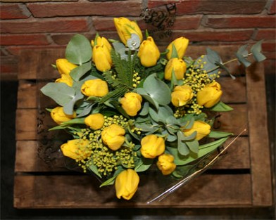 Yellow Tulips